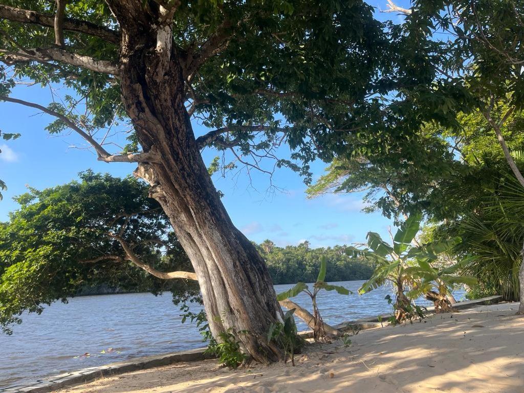 Pousada Paraiso Cultural Barreirinhas Eksteriør bilde
