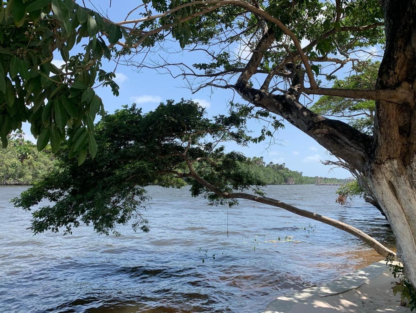 Pousada Paraiso Cultural Barreirinhas Eksteriør bilde